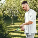 dutch green lawn care mistakes gardener in garden