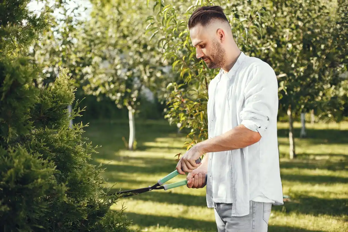 dutch green lawn care mistakes gardener in garden