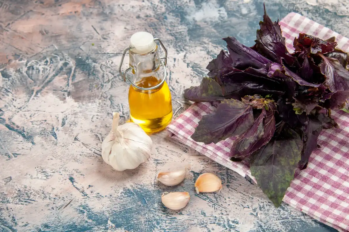 garden plants sprayed with homemade garlic solution