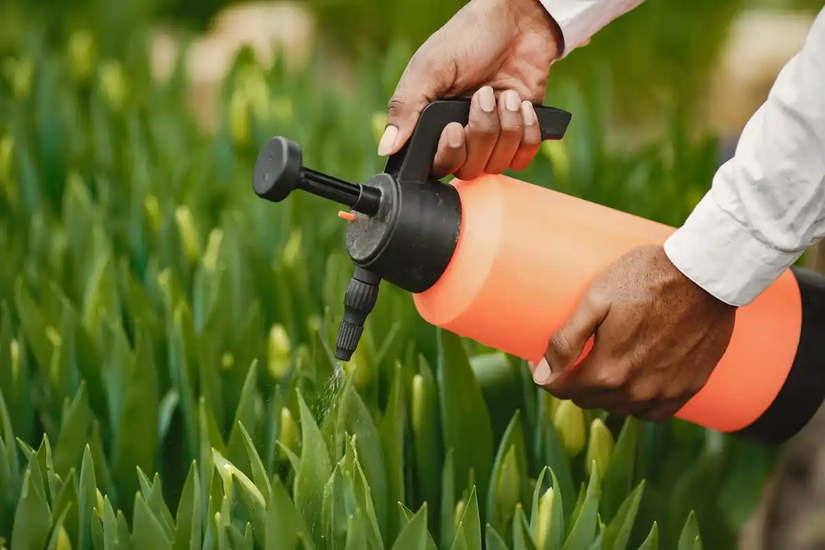 natural pest control garden netherlands