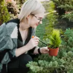 natural plant disease remedies garden Dutch backyard