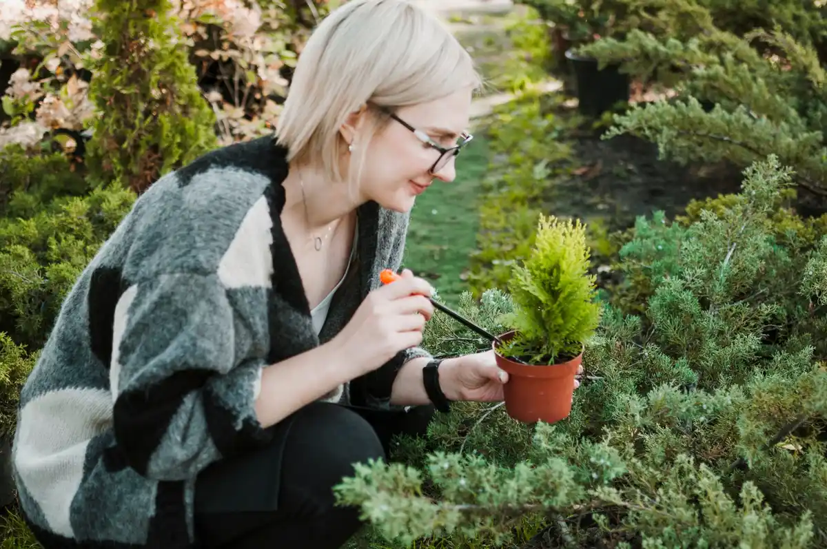 natural plant disease remedies garden Dutch backyard