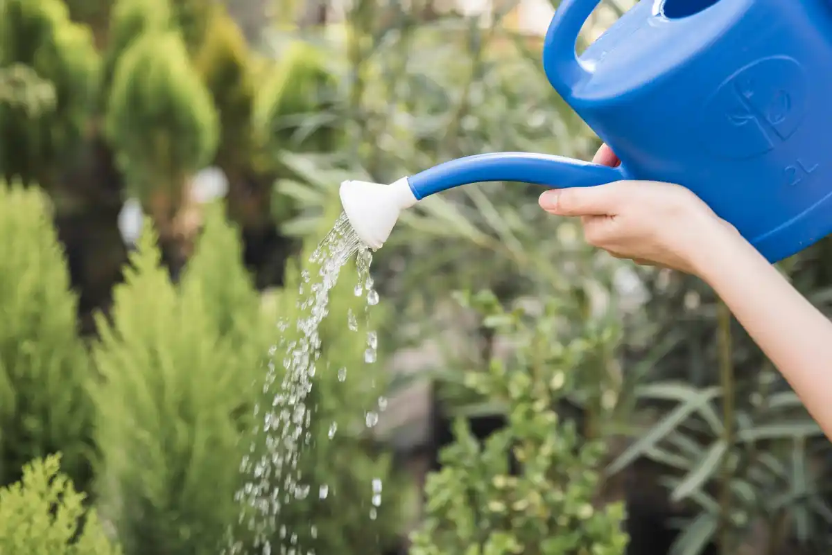 watering lawn mistakes