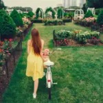 beautiful green lawn care dutch garden spring