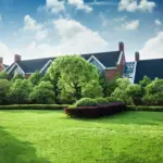 healthy green lawn care netherlands backyard garden