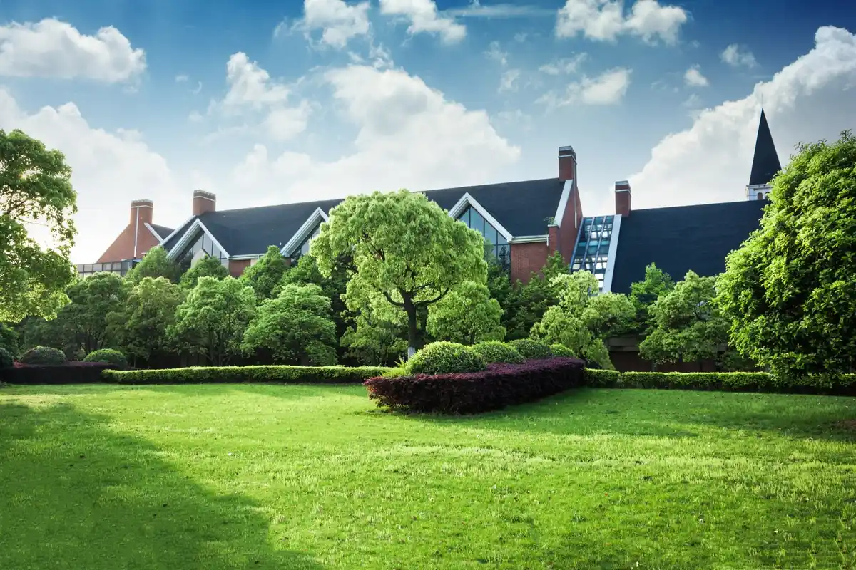 healthy green lawn care netherlands backyard garden