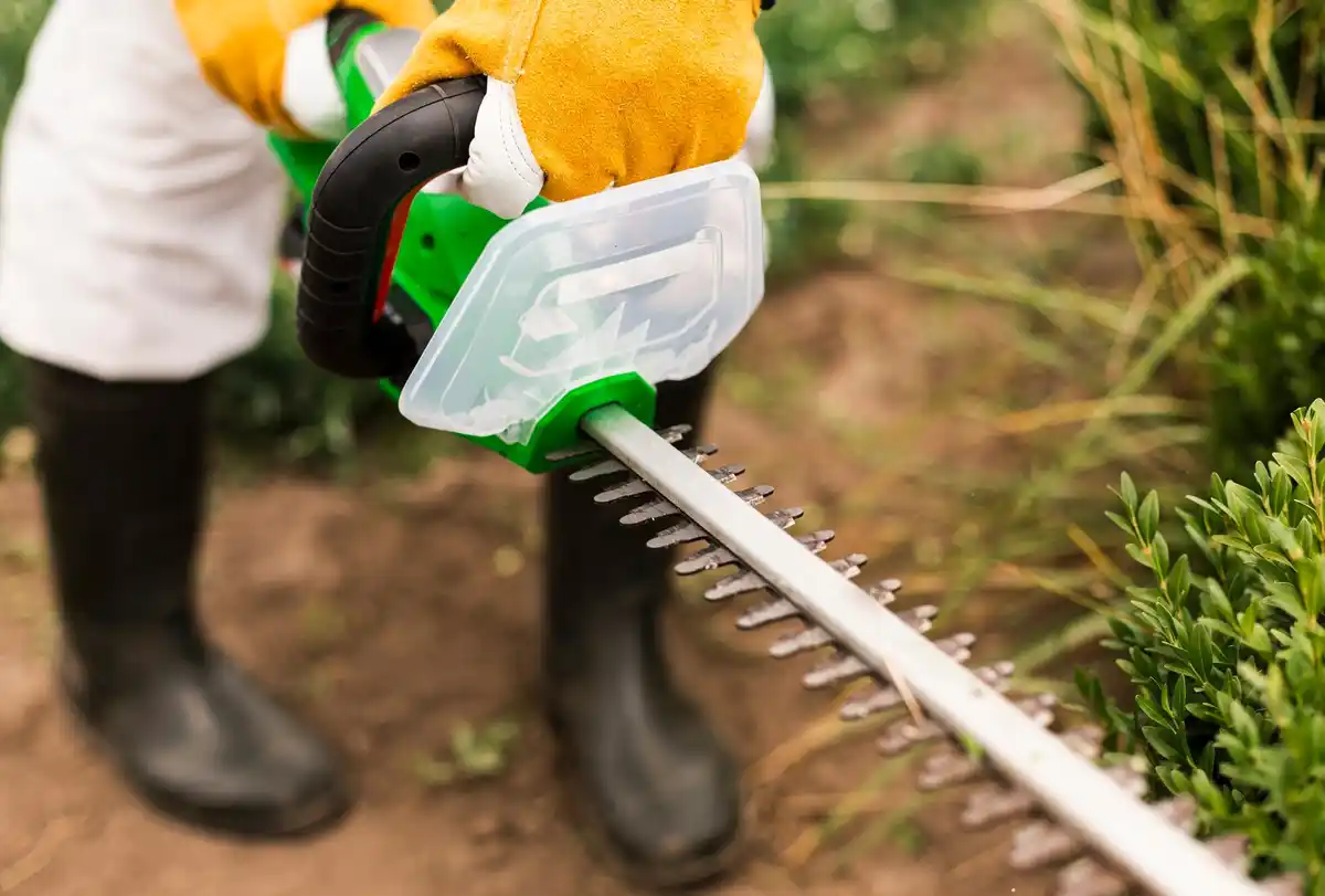 lawn aeration process garden maintenance