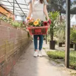 dutch urban vegetable garden balcony fresh produce