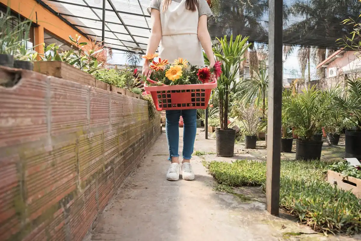 dutch urban vegetable garden balcony fresh produce