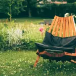 lush green Dutch lawn garden maintenance