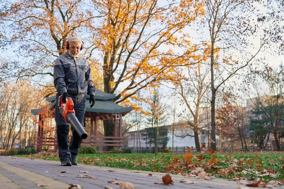 Dutch garden lawn aeration seeding autumn