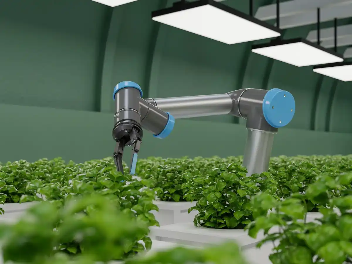 garden irrigation automation system