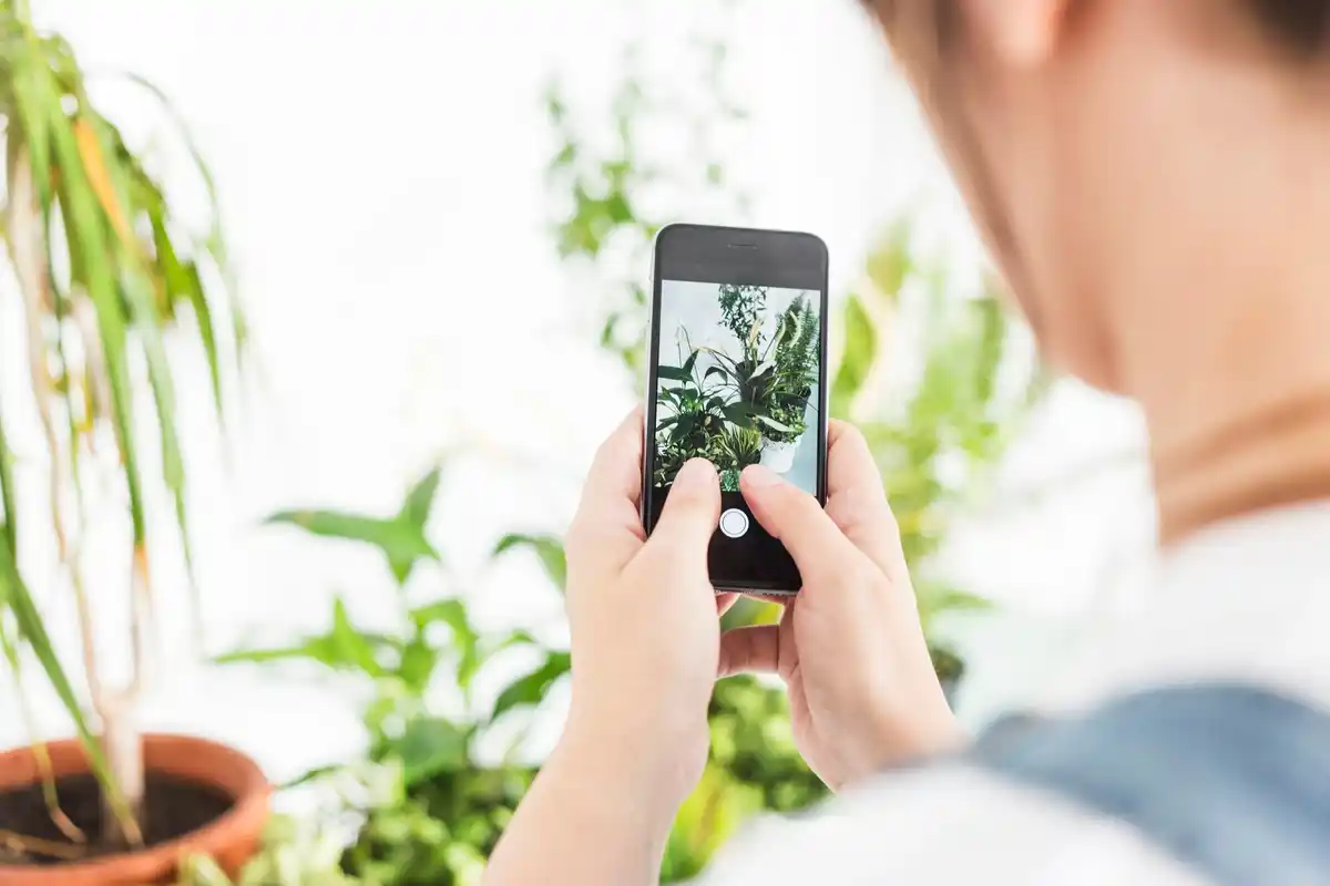 smart garden irrigation controller app