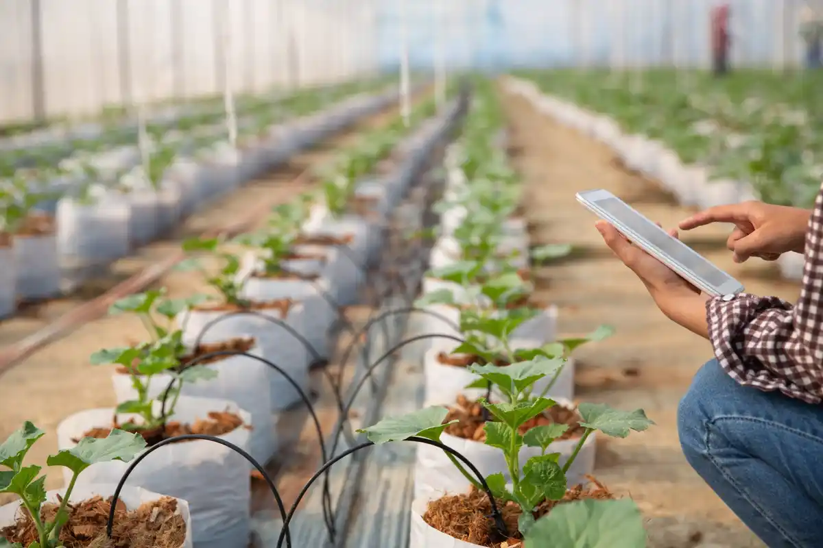 garden irrigation system with sensors
