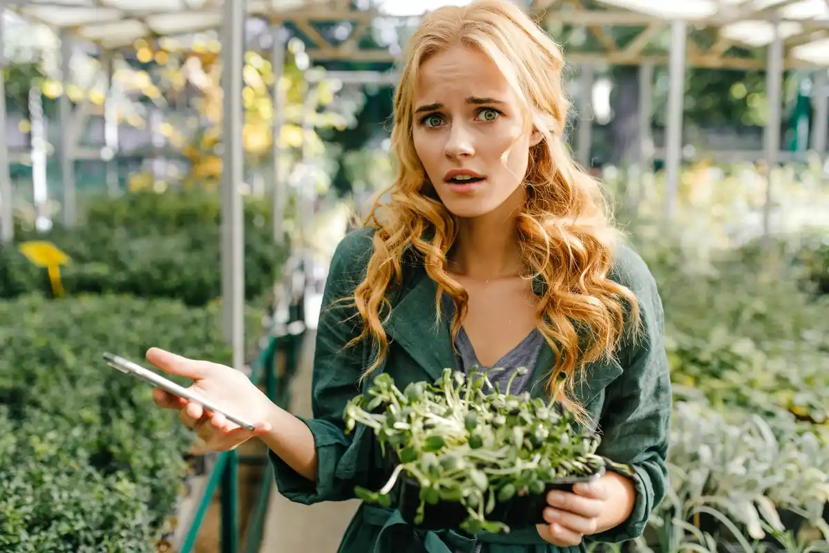automatic garden irrigation mistakes
