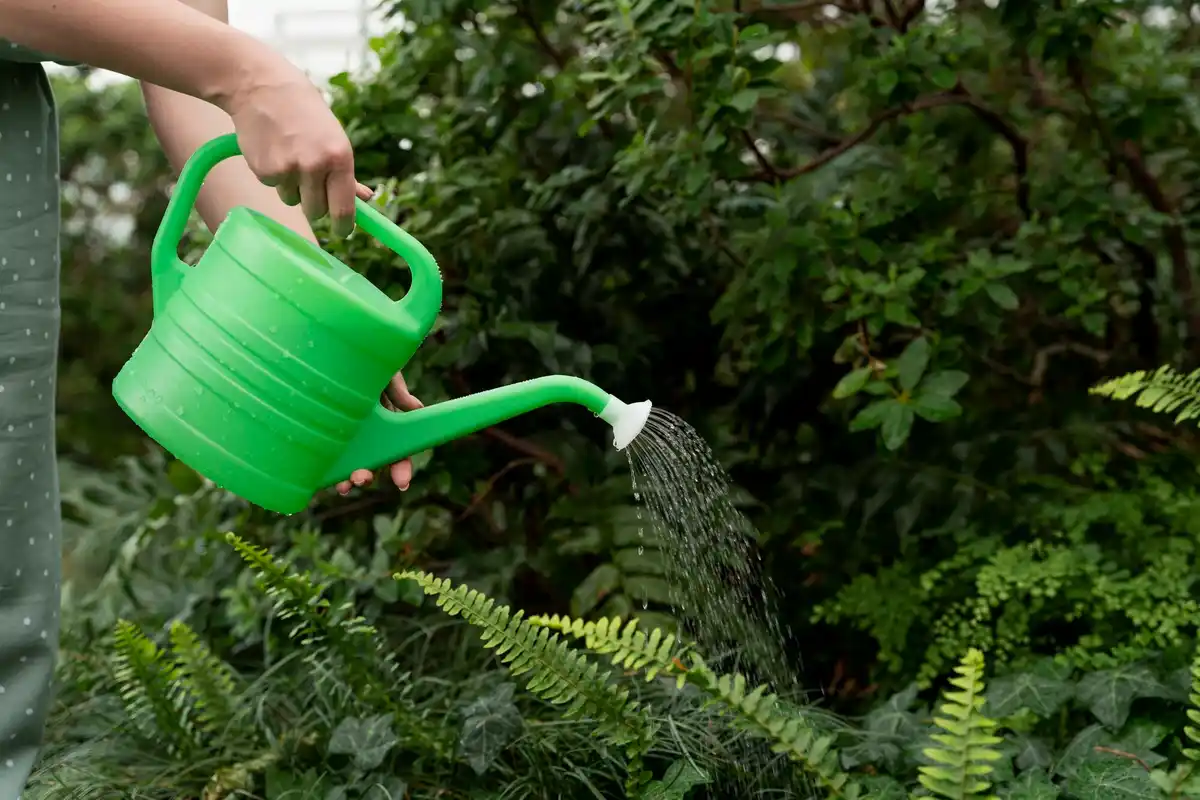 garden irrigation sprinkler watering plants
