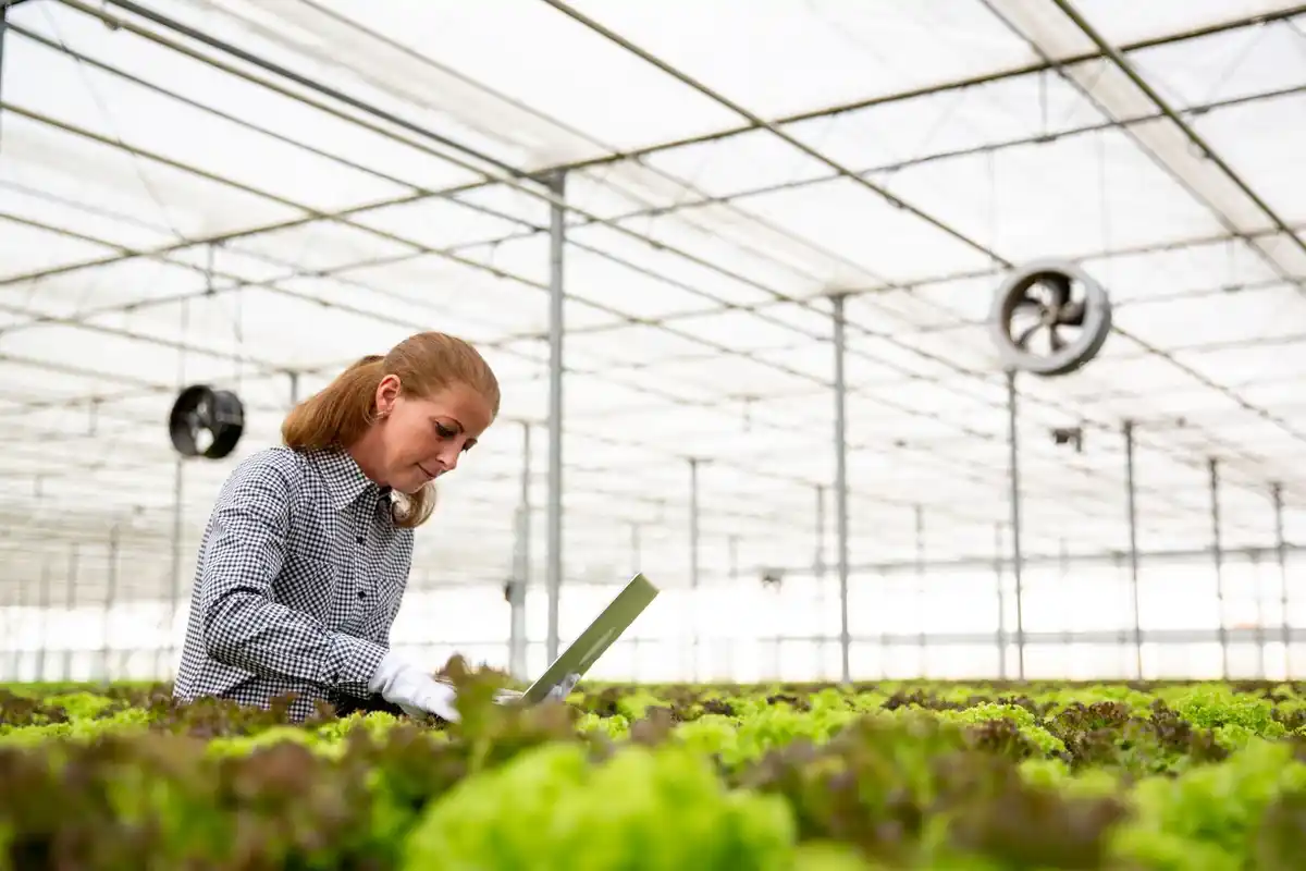 smart garden irrigation system Netherlands