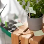 automatic indoor plant watering system
