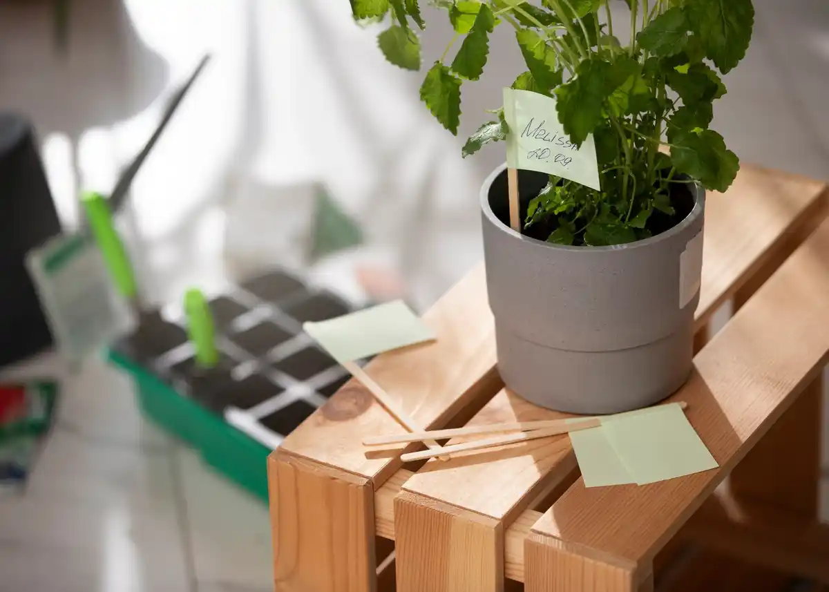 automatic indoor plant watering system