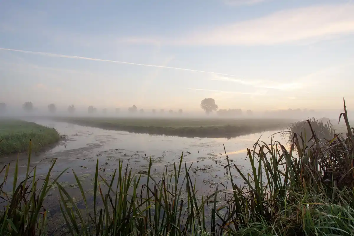 watering garden early morning netherlands
