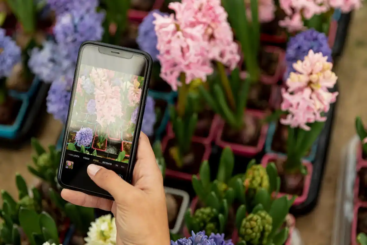 smart garden watering system smartphone app Netherlands
