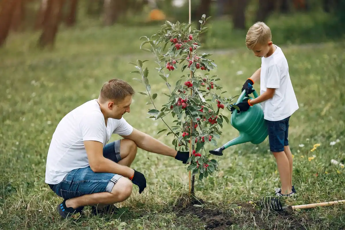 fruit tree care mistakes garden apple prune water soil
