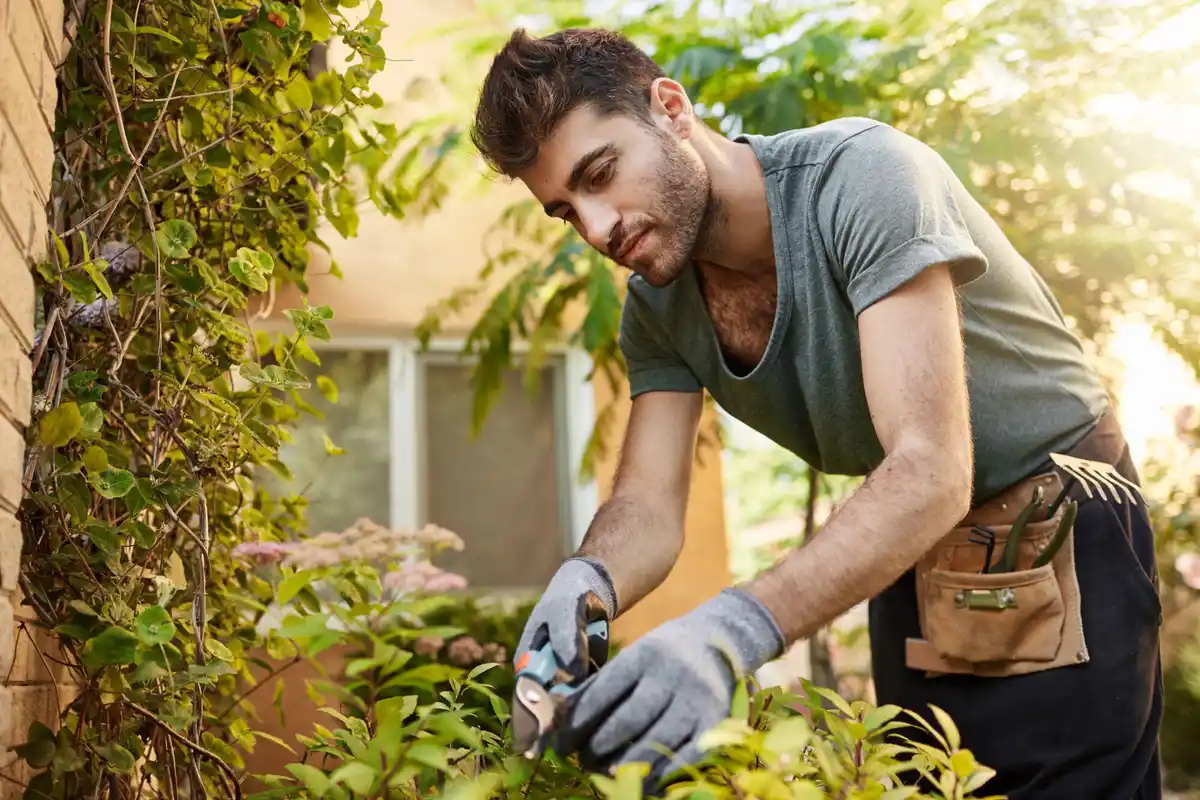 gardener checking healthy soil in garden