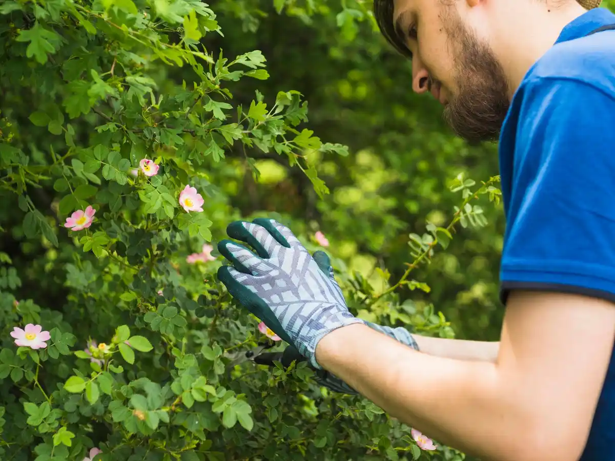 biologische bestrijding planten tuin Nederland lente