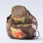 diseased garden plants close-up powdery mildew root rot