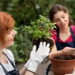 healthy garden plants tips outdoor gardening care