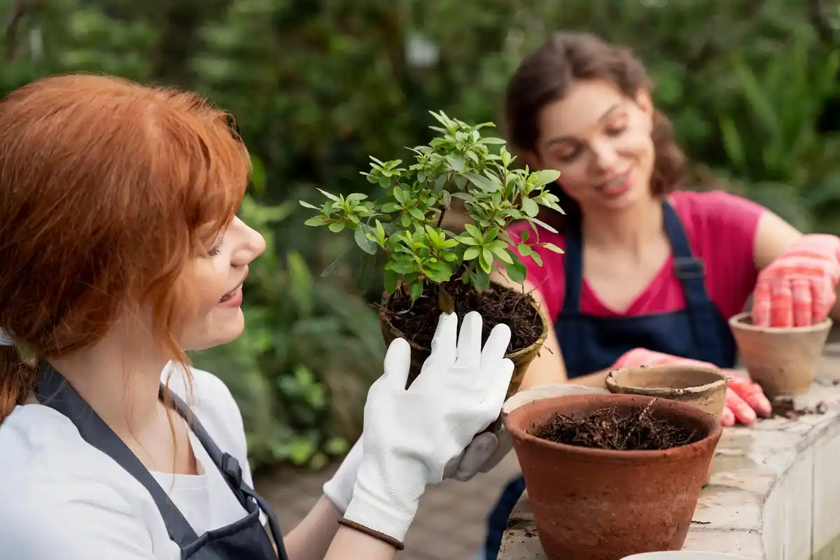 healthy garden plants tips outdoor gardening care