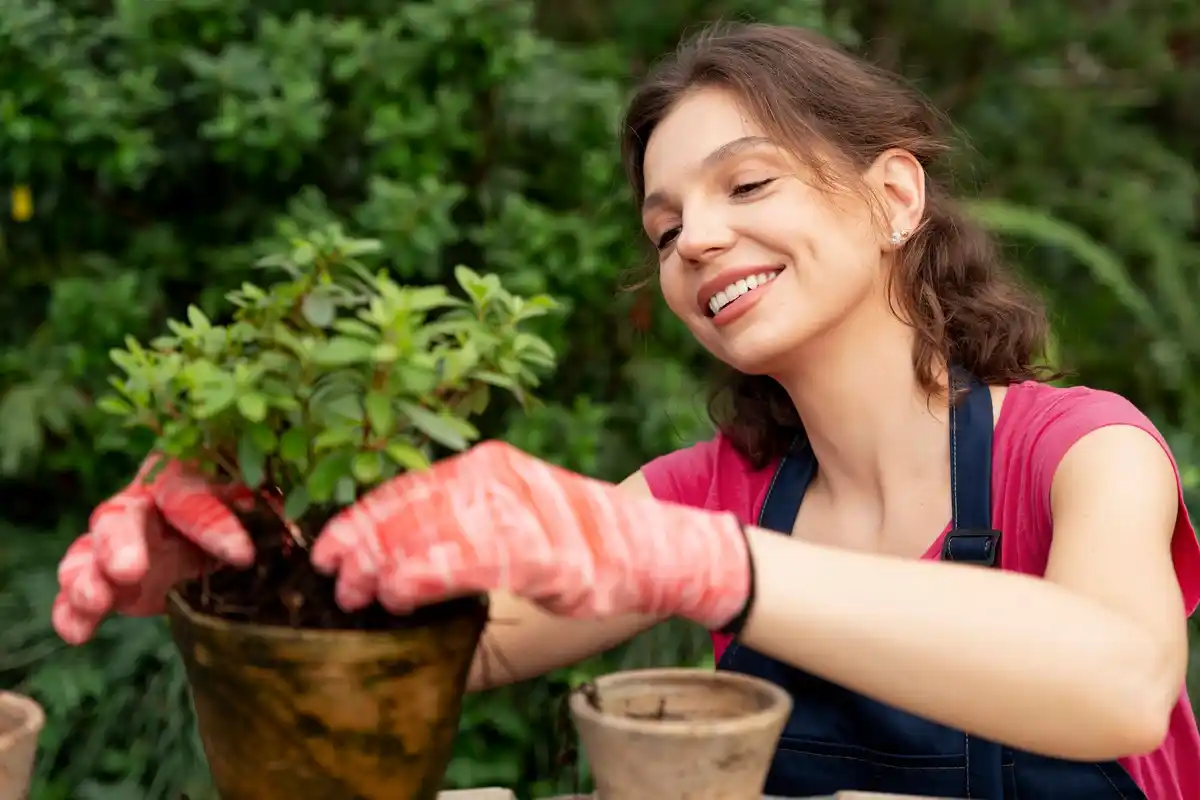 healthy garden plants tips