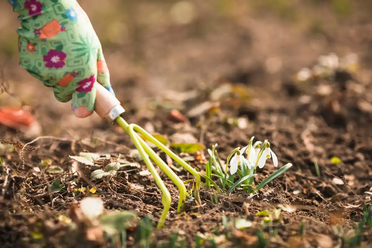 mulching garden bed soil