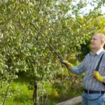natural pest control garden Netherlands