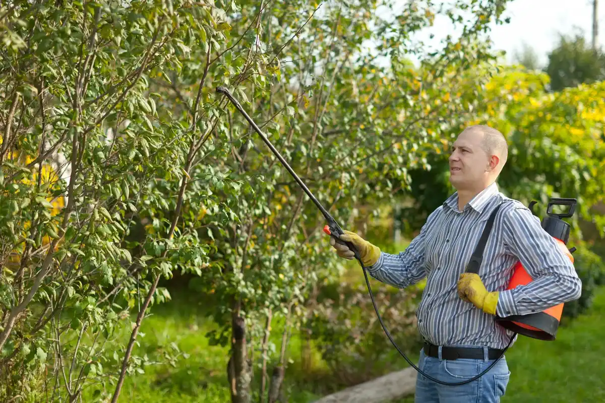 natural pest control garden Netherlands