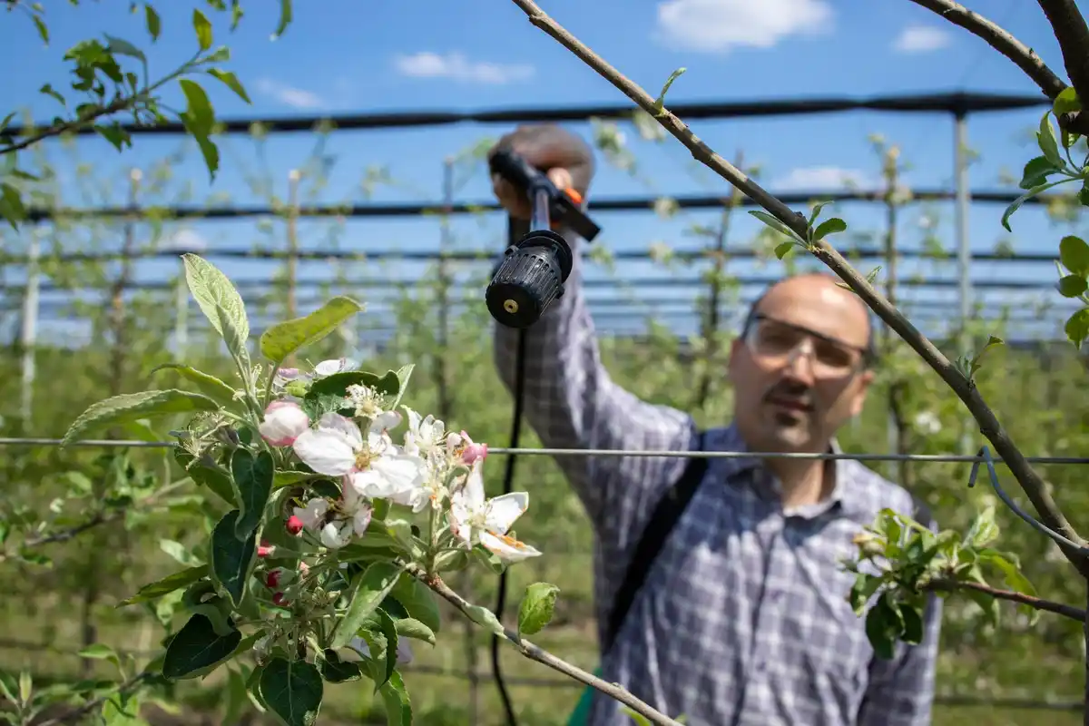 organic pest control garden Netherlands