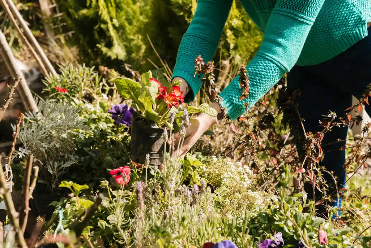 local Dutch compost heap in garden with lush plants