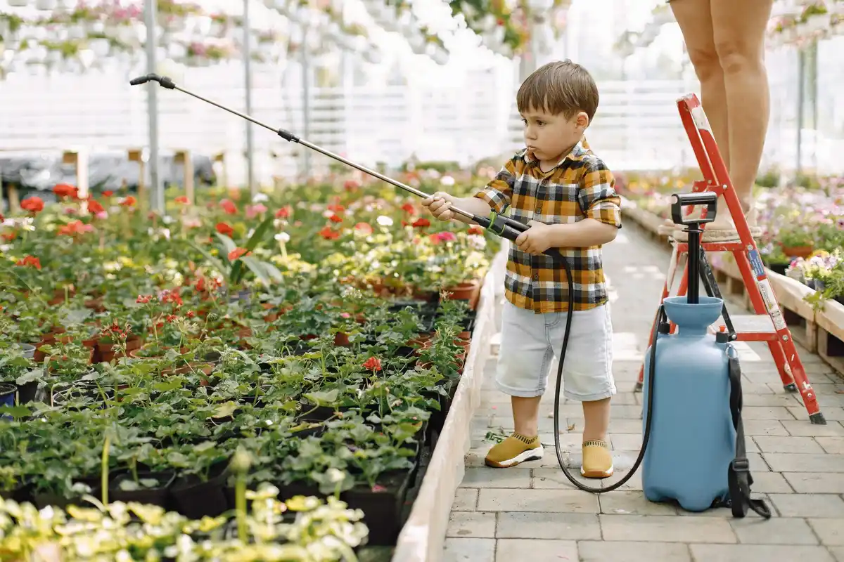 organic pest control garden