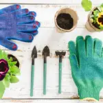 unhealthy garden plants with yellow leaves and garden tools