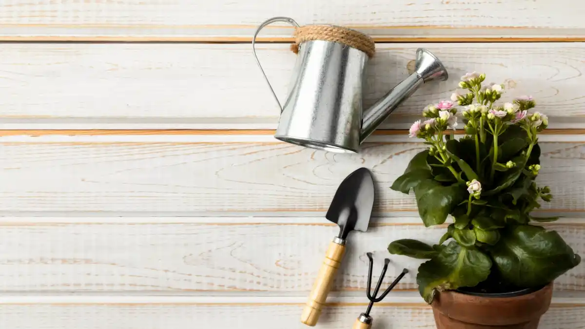 garden tools watering plants in backyard