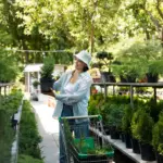 organic sustainable garden netherlands backyard