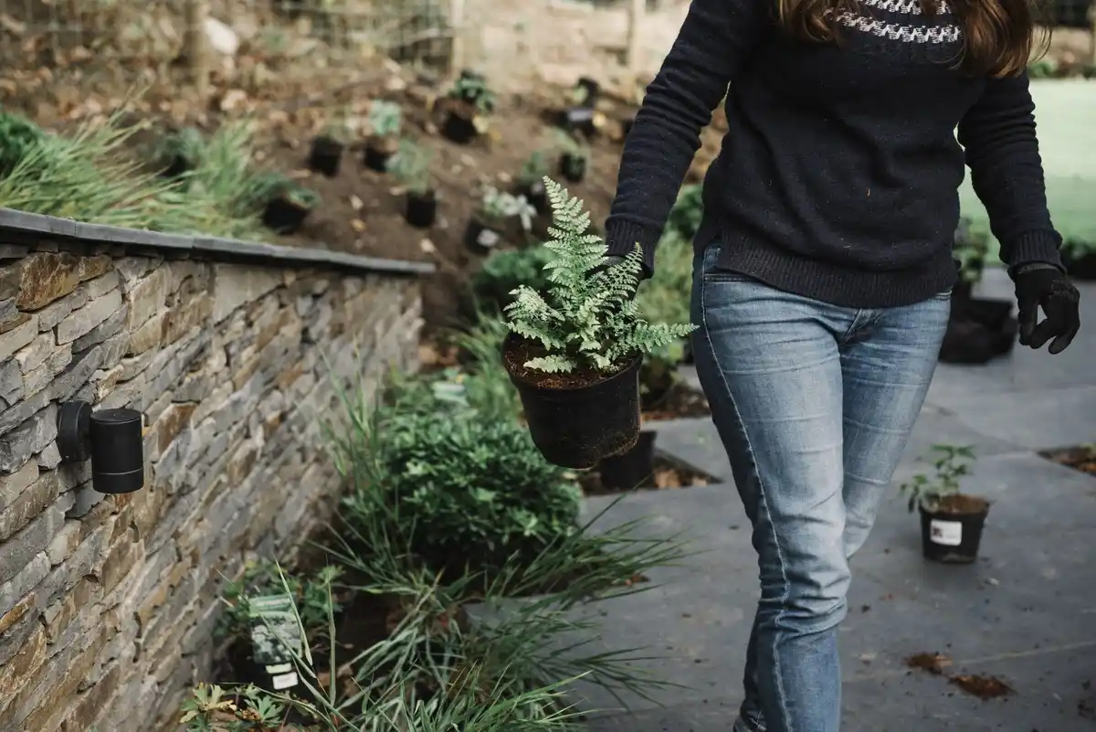 organic gardening mistakes in small backyard garden