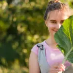 natural garden healthy plants no pesticides