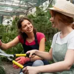 sustainable gardening beginner tips Netherlands garden