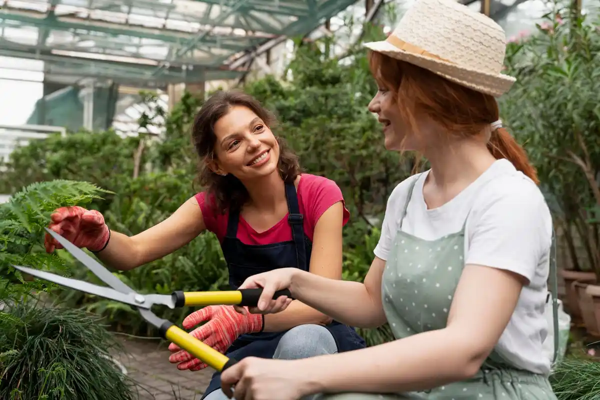 sustainable gardening beginner tips Netherlands garden