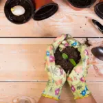 homemade natural fertilizer garden gardening