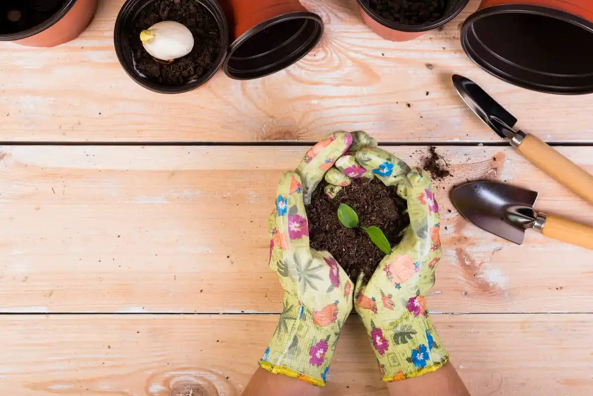 homemade natural fertilizer garden gardening