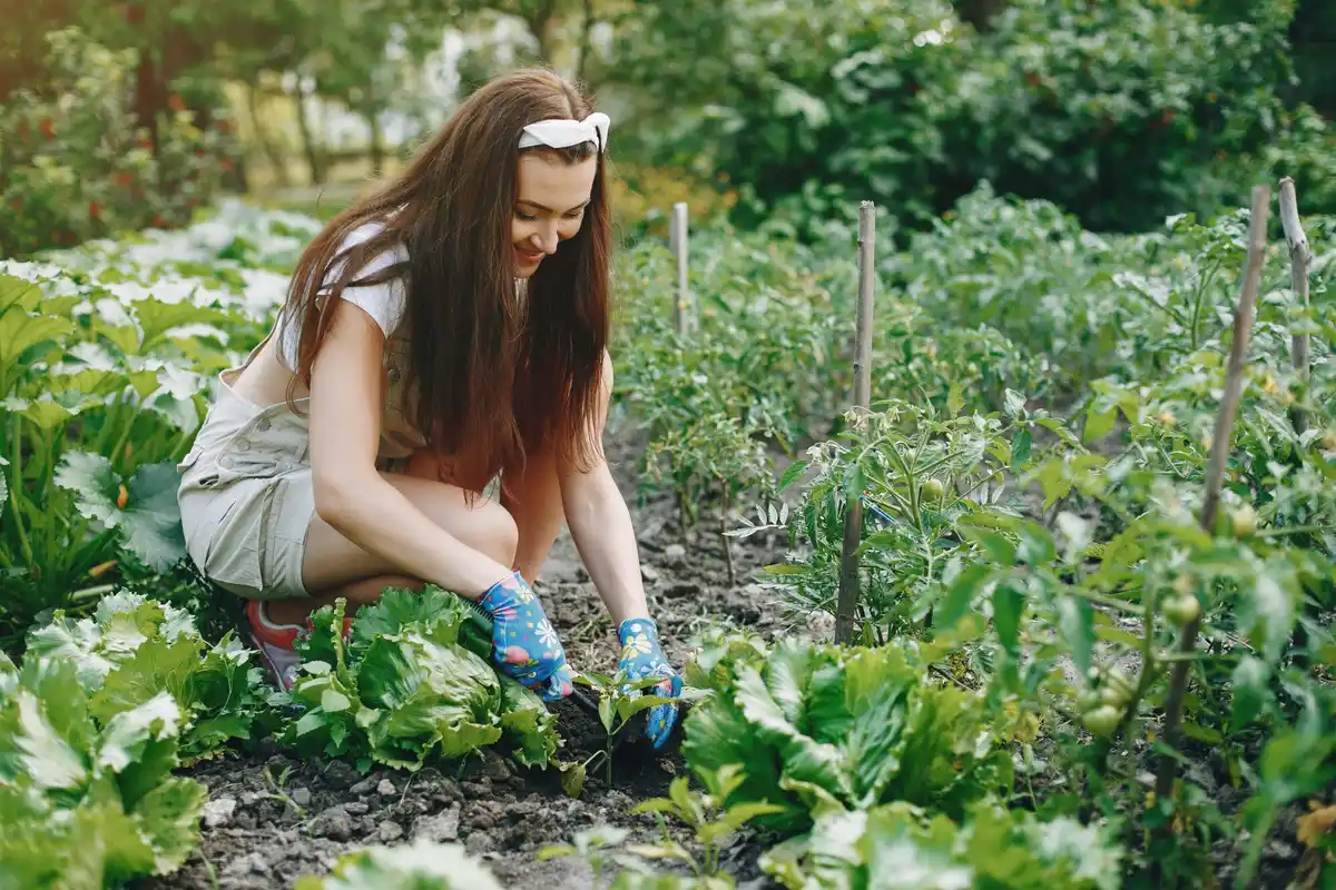organic gardening healthy vegetables Netherlands garden
