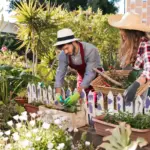 natural vegetable garden sustainable pollinators Netherlands backyard
