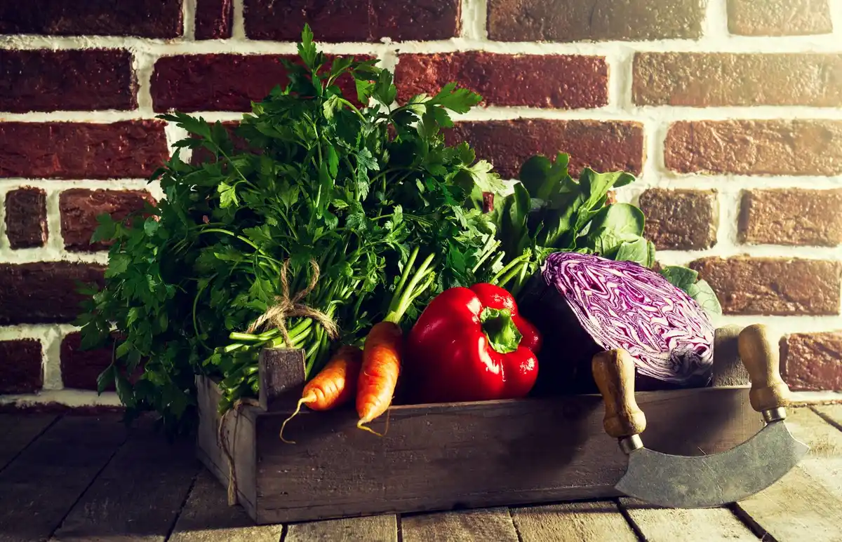 organic vegetable garden in Dutch style